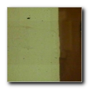 tamil movie Dalapathi